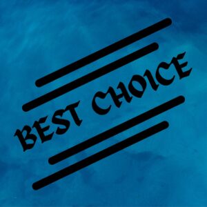 BEST CHOICE AND THERE REASONS