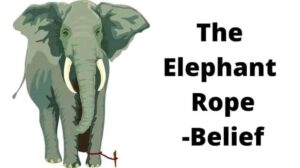 THE ELEPHANT ROPE