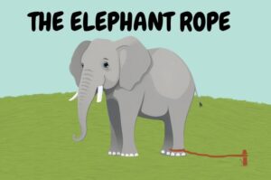 The Elephant Rope